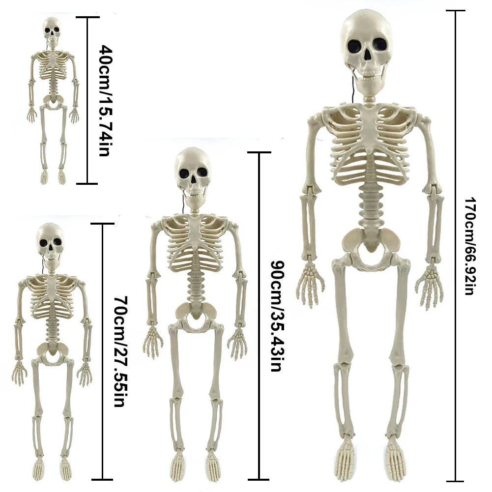 Fullskalig Halloween skelettdekoration
